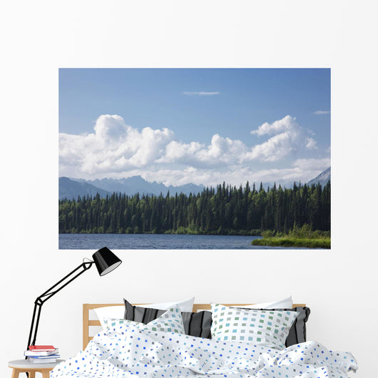 View Of The Alaska Range From Byers Lake Wall Mural