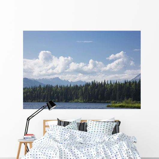 View Of The Alaska Range From Byers Lake Wall Mural