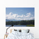 View Of The Alaska Range From Byers Lake Wall Mural