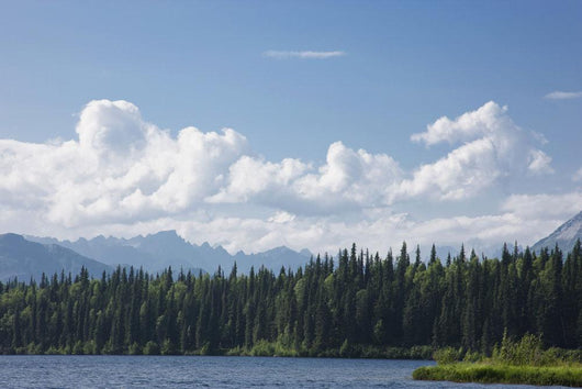 View Of The Alaska Range From Byers Lake Wall Mural