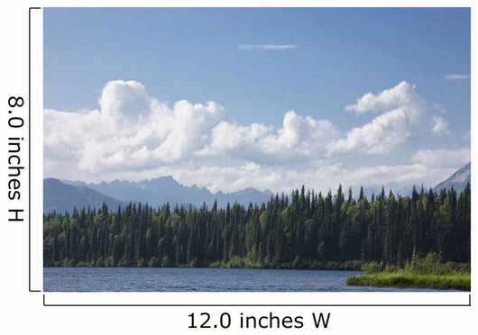 View Of The Alaska Range From Byers Lake Wall Mural