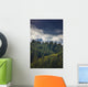 Spruce Tree Forest, Chiniak Bay, Kodiak Island, Southwest Alaska, Fall Wall Mural