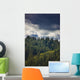 Spruce Tree Forest, Chiniak Bay, Kodiak Island, Southwest Alaska, Fall Wall Mural