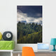 Spruce Tree Forest, Chiniak Bay, Kodiak Island, Southwest Alaska, Fall Wall Mural