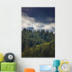 Spruce Tree Forest, Chiniak Bay, Kodiak Island, Southwest Alaska, Fall Wall Mural