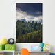 Spruce Tree Forest, Chiniak Bay, Kodiak Island, Southwest Alaska, Fall Wall Mural