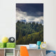 Spruce Tree Forest, Chiniak Bay, Kodiak Island, Southwest Alaska, Fall Wall Mural