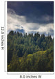 Spruce Tree Forest, Chiniak Bay, Kodiak Island, Southwest Alaska, Fall Wall Mural