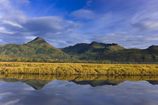 Scenic Tidal Slough along Wall Decal Design 2