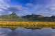 Scenic Tidal Slough along Wall Decal Design 2