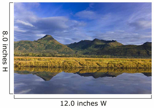 Scenic Tidal Slough along Wall Decal Design 2