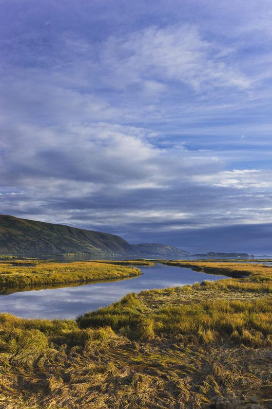 Scenic Tidal Slough along Wall Decal Design 1