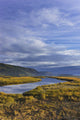 Scenic Tidal Slough along Wall Decal Design 1