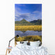 Tidal Slough And Mountain Scenic Along Womens Bay Wall Mural