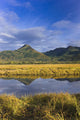 Tidal Slough And Mountain Scenic Along Womens Bay Wall Mural