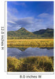 Tidal Slough And Mountain Scenic Along Womens Bay Wall Mural