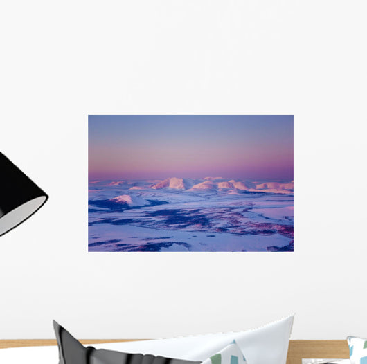 Aerial Noatak River Valley Wall Decal