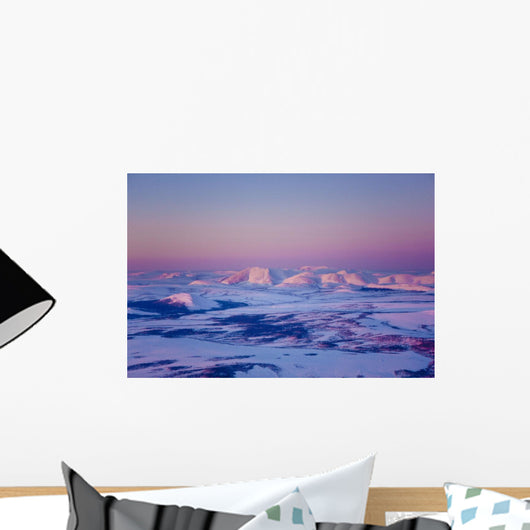 Aerial Noatak River Valley Wall Decal
