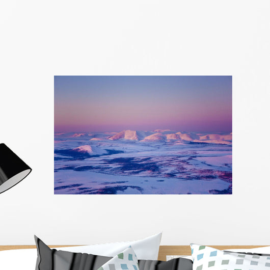 Aerial Noatak River Valley Wall Decal