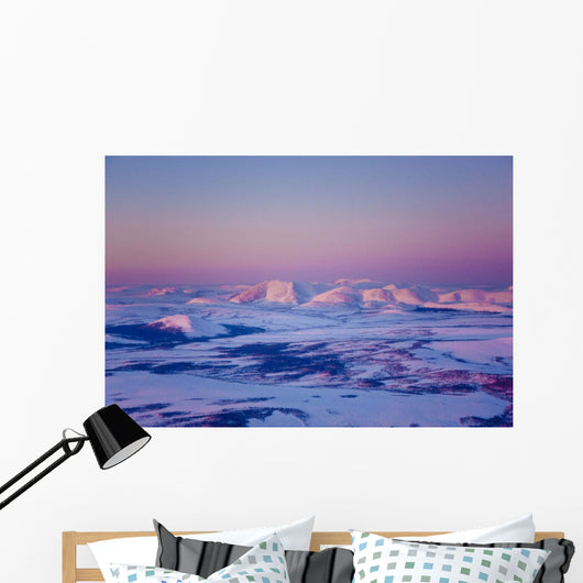 Aerial Noatak River Valley Wall Decal