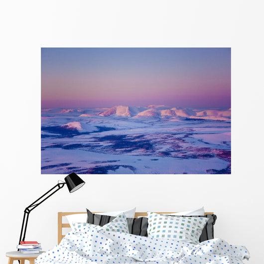 Aerial Noatak River Valley Wall Decal