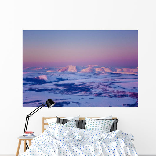 Aerial Noatak River Valley Wall Decal