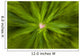 Abstract Of New Fireweed Growth Wall Mural