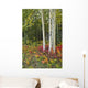 Colorful View Of Aspen Tree Trunks And Fall Foliage Wall Mural