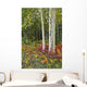 Colorful View Of Aspen Tree Trunks And Fall Foliage Wall Mural