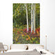 Colorful View Of Aspen Tree Trunks And Fall Foliage Wall Mural