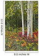 Colorful View Of Aspen Tree Trunks And Fall Foliage Wall Mural