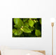 Close Up Of A Young Alder Tree Wall Mural