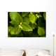 Close Up Of A Young Alder Tree Wall Mural