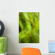 Abstract Of A Young Alder Tree Wall Mural