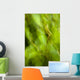 Abstract Of A Young Alder Tree Wall Mural