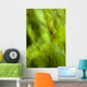 Abstract Of A Young Alder Tree Wall Mural