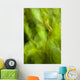 Abstract Of A Young Alder Tree Wall Mural