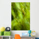 Abstract Of A Young Alder Tree Wall Mural