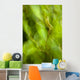 Abstract Of A Young Alder Tree Wall Mural