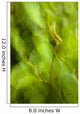 Abstract Of A Young Alder Tree Wall Mural