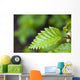 Close Up Of A Young Alder Tree Leaf Wall Mural