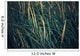 Close Up Of Grass Along Old Womens Bay Wall Mural