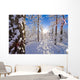 Detail Of Snow Covered Cotttonwoods During Winter In Artic Valley Wall Mural