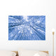 Tree Top Abstract Of A Snow Covered Birch Forest Wall Mural