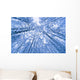 Tree Top Abstract Of A Snow Covered Birch Forest Wall Mural