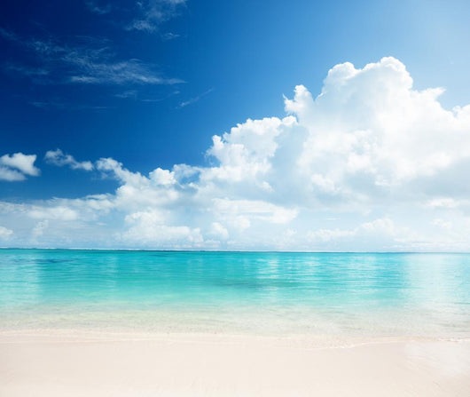 sand and Caribbean sea Wall Mural