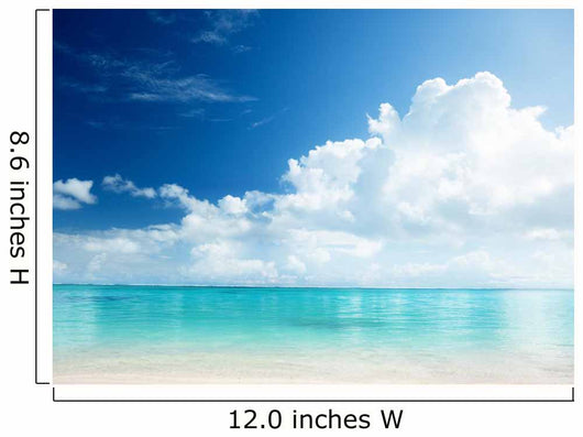 sand and Caribbean sea Wall Mural