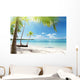Caribbean Sea and Coconut