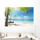 Caribbean Sea and Coconut
