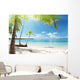 Caribbean Sea and Coconut